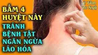 Bấm 4 Huyệt Vị Đặc Biệt Này Mỗi Ngày Để Tránh Bệnh Tật, Ngăn Ngừa Lão Hóa