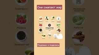 Продукты, сжигающие жир‼️ #здоровье #бытьздоровым #vilavi #жкт #омега3 #витамины #сон #худеемвместе