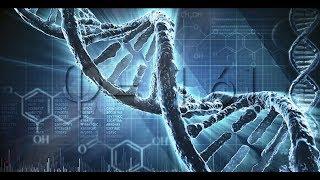 Подпись БОГА в ДНК человека