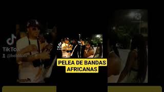 LA 23 Y LA 22 SE PELE4N EN |LLEIDA CATALUNYA| "Bandas" AFRICANAS @bebiitotv6064#noticias#television