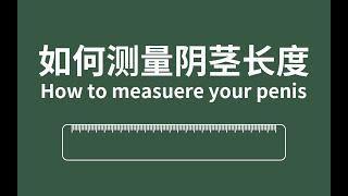 如何正确地测量阴茎长度 | How to measure your penis in the corret way【圈套知识】