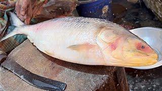 3 Kg Size Big Hilsa Fish Cutting In Fish Market Bangladesh | Fish Cutting Skills