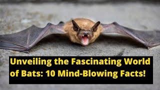 Fascinating World of Bats: 10 Mind-Blowing Facts | Fun facts | Interesting facts about Bats