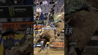 JB Mauney Rides World's Most Dangerous Bull Bushwacker | JRE Podcast reacts with Dale Brisby