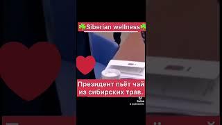 Наш Президент пьёт чай из Сибирским трав. Сибирское здоровье предлагает большой выбор чаёв из Сибири