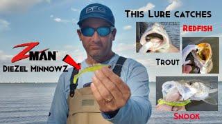 Zman DieZel MinnowZ Review-Catching Snook,Trout and Redfish