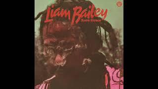 Liam Bailey - Holding On