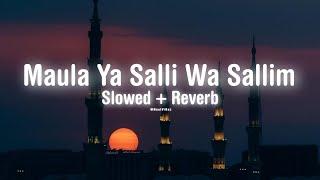 Maula Ya Salli Wasallim Lofi (Slowed+Reverb) Beautiful Naat ️