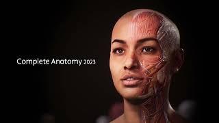 Complete Anatomy 2023 - Actualización para una mejor representación de la diversidad humana