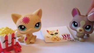 Lps- MV pro lps Ančatka do soutěže :3