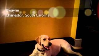 Southern Identity Video