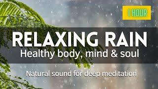 Relaxing Rain for Deep Meditation (Natural Sound)
