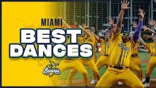 The Best Savannah Bananas Dances in Miami