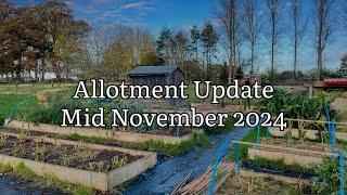 Allotment Update Mid November 2024, Allotment Diary, Allotment Gardening