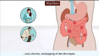 Bacteriën en virussen - Wat zijn het en hoe kun je een infectie voorkomen?