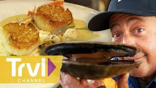 Diving for Scallops in Newfoundland | Bizarre Foods with Andrew Zimmern | Travel Channel