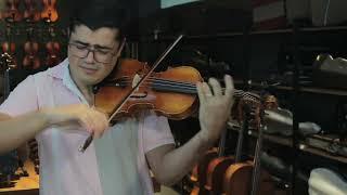 VIOLINO FEITO À MÃO FUNDO BIPARTIDO MODELO STRAD 4/4 BRILHO