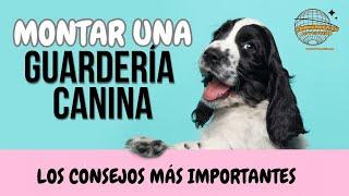 Cómo MONTAR una RESIDENCIA CANINA. ¿CUÁNTO GANAN?