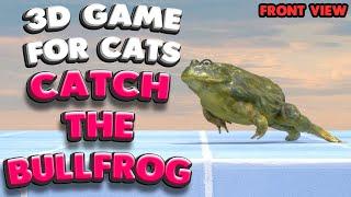3D game for cats | Catch the BULLFROG (front view) | 4K, 60 fps, stereo sound