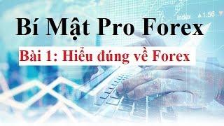 Bí mật Pro Forex  Bài 1 - Hiểu đúng về Forex - Đầu tư Forex Cơ Bản đến Nâng Cao