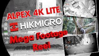 HikMicro Alpex 4K Lite - Mega Footage Reel