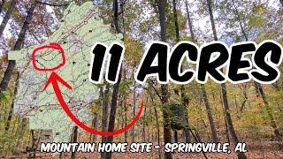 11 Acre Mountain Homestead Building Site  Alabama Land For Sale