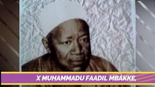 Seex Muhammadul Faadil Mbàkke