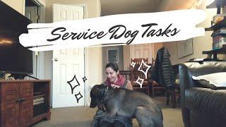 My Service Dog Tasks (w/ demonstrations!) | Psychiatric and Medical SD