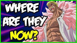 Current Status of All Major Villains!! - One Piece Discussion | Tekking101