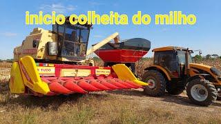 Inicio da colheita de milho