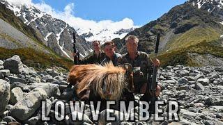 CHASING TAHR - Canterbury New Zealand