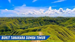 BUKIT TANARARA SUMBA TIMUR || Hamparan Savana Hijau Yang Memukau Dan Spot Foto Yang Eksotis.