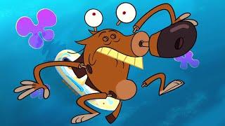 Zig & Sharko | Zig Falls Apart (Season 3) BEST CARTOON COLLECTION | New Episodes in HD