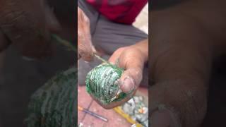 I made LOUDEST SUTLI BOMB at home || #sutli_bomb #crackers #shorts #experiment#fireworks#bomb