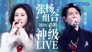 【杨宗纬 × 张碧晨】“张杨组合”2024必听神级LIVE现场！从《凉凉》到《他不懂》   他俩歌声的杀伤力丝毫不减当年！ #杨宗纬 #张碧晨 主题特辑 20241112