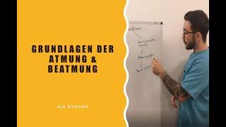 Grundlagen der Atmung und Beatmung  - Die Atmung