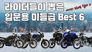 입문용 미들급 바이크 Best 6 추천