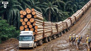 Extreme Dangerous LONGEST and BIGGEST Wood Logging Truck Driving Skill on Extreme Terrain