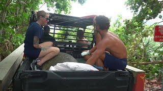 Giant Sea Turtle Released Back Into Ocean