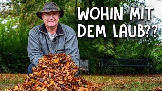 Laub in wertvollen Dünger verwandeln!  - DIY Laubmiete bauen