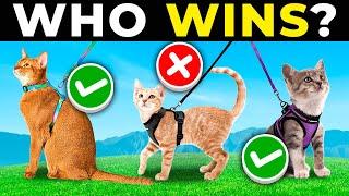 TOP 5 BEST CAT HARNESSES 2025 | Escape Proof CAT WALKING HARNESS on AMAZON