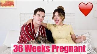 PREGNANCY VLOG - 36 WEEKS PREGNANT UPDATE | Shenae Grimes Beech & Josh Beech