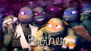 TMNT " Brother" AMV. Siblings (brother's) day special ️ Princess lover Mounata