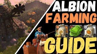 FARMING set up w/ Crops & Herbs for your Personal Island - Albion Online