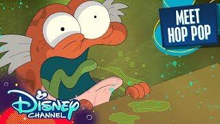 Meet Hop Pop!  | Amphibia | Disney Channel