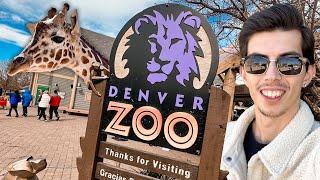 Our FIRST VISIT to the Denver Zoo in Colorado!! Full Walking Tour & NEW Exhibits!