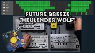 Future Breeze "Heulender Wolf" – Roland TB-303, TB-03, TR-909, Behringer TD-3 Pattern, Acid