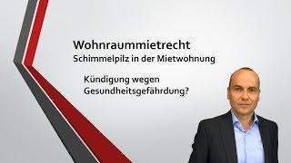 Schimmelpilz in der Mietwohnung - Vortrag für Anwälte 9/11 | Kündigung wegen Gesundheitsgefährdung