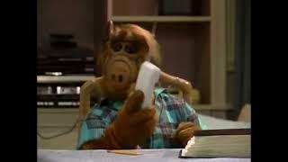 #ALF - Funny Donald Trump Reference 
Alf gordon shumway