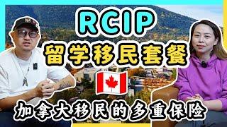 RCIP留学移民套餐，2025年移民加拿大的多重保险